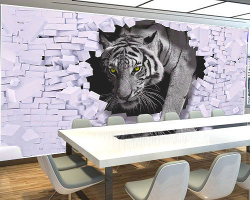 Interior Wall Branding & Design